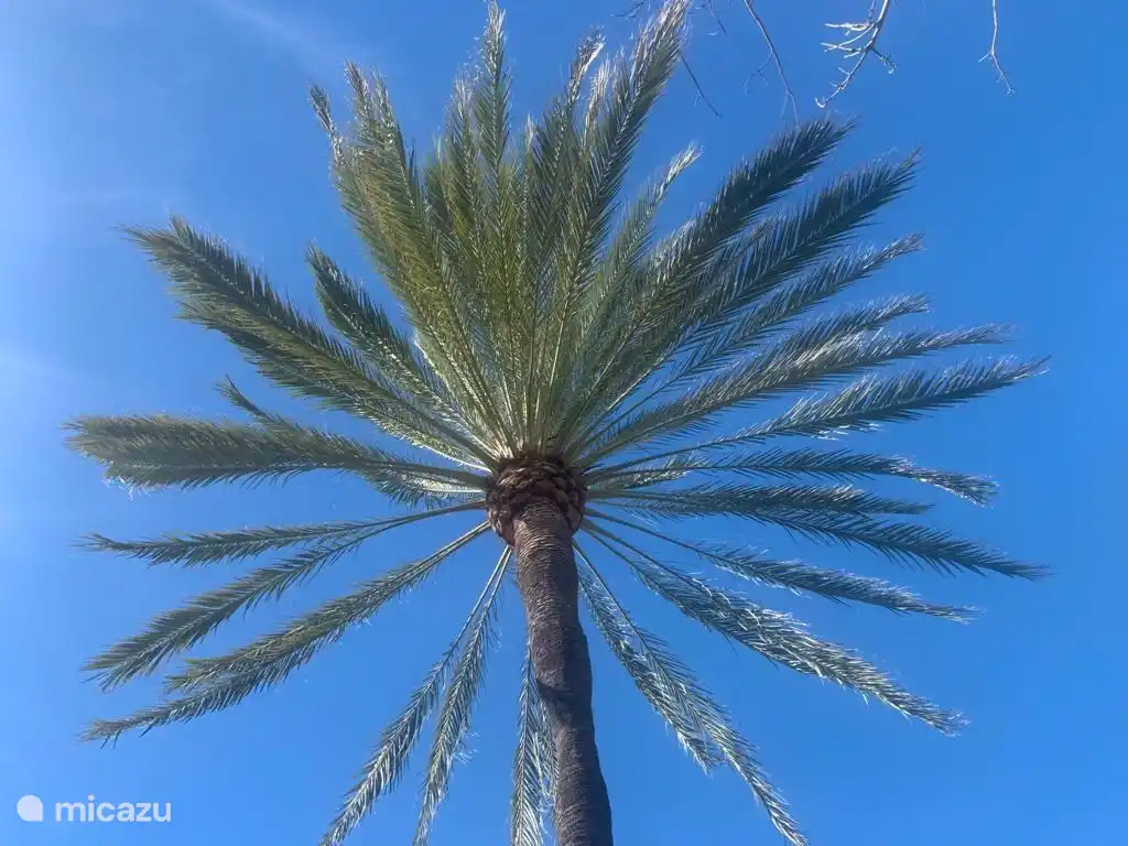 Hier word je toch blij van. 
