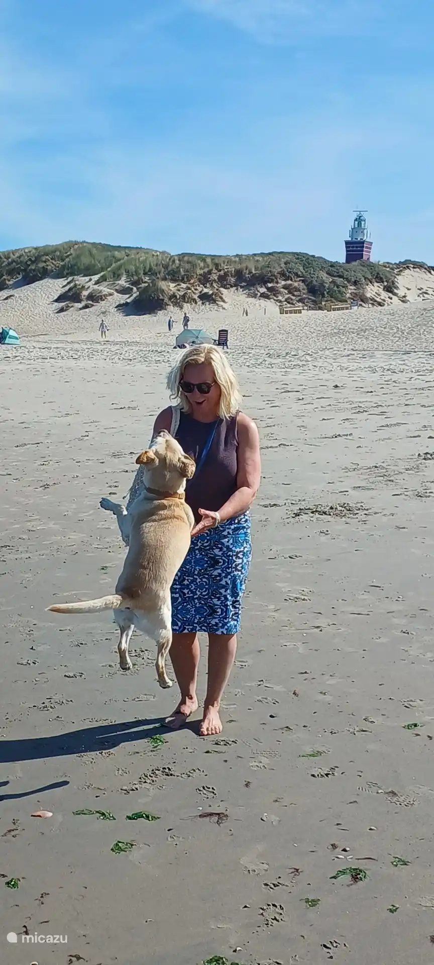 Ouddorp est aussi fantastique pour les chiens