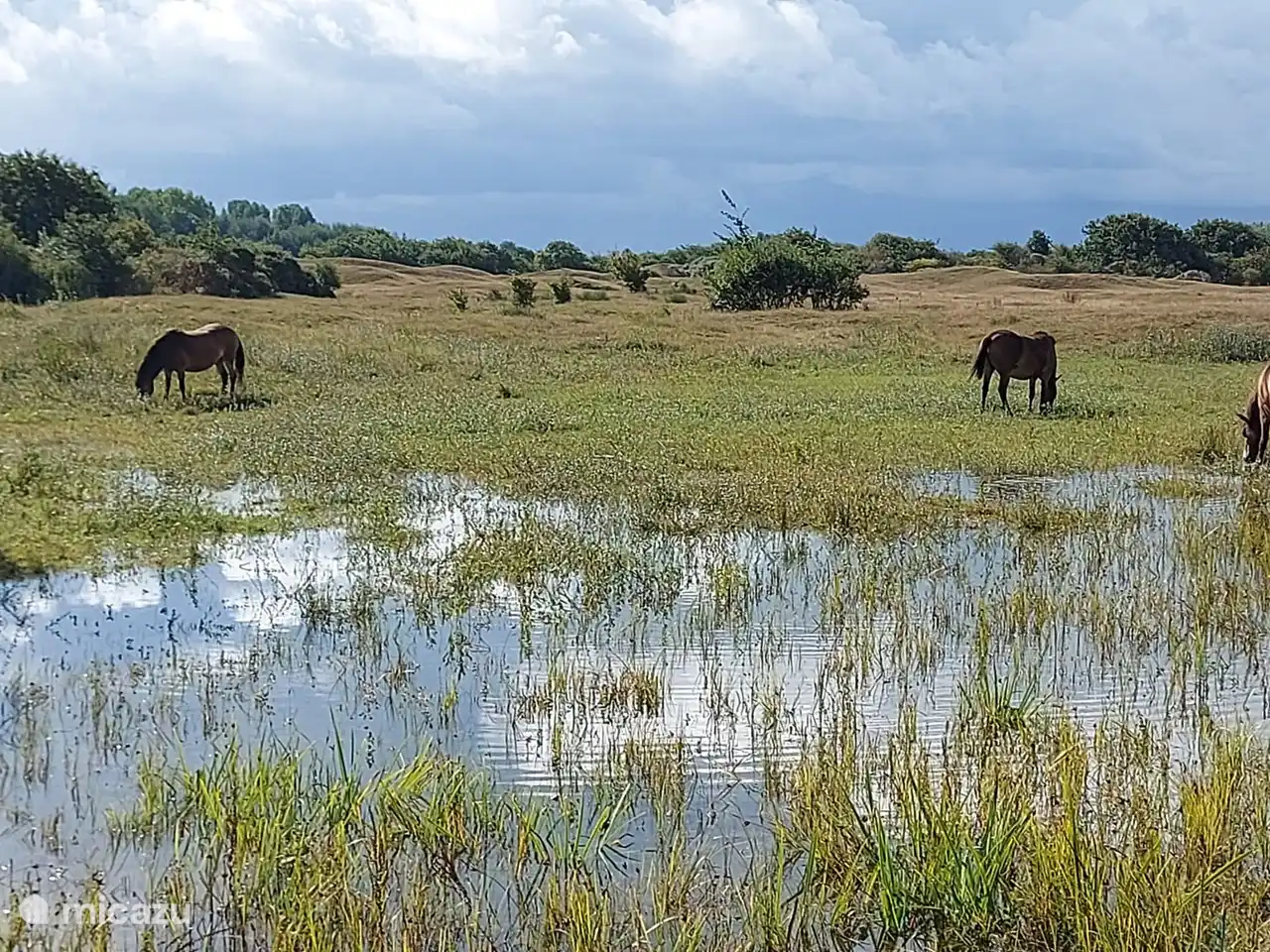 Gran área de naturaleza y extracción de agua a 10 minutos a pie.