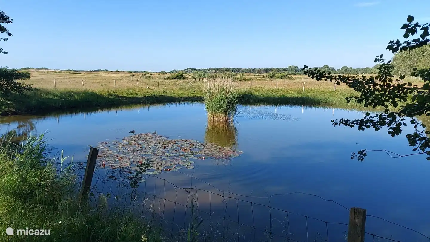 Una impresión de la reserva natural protegida.