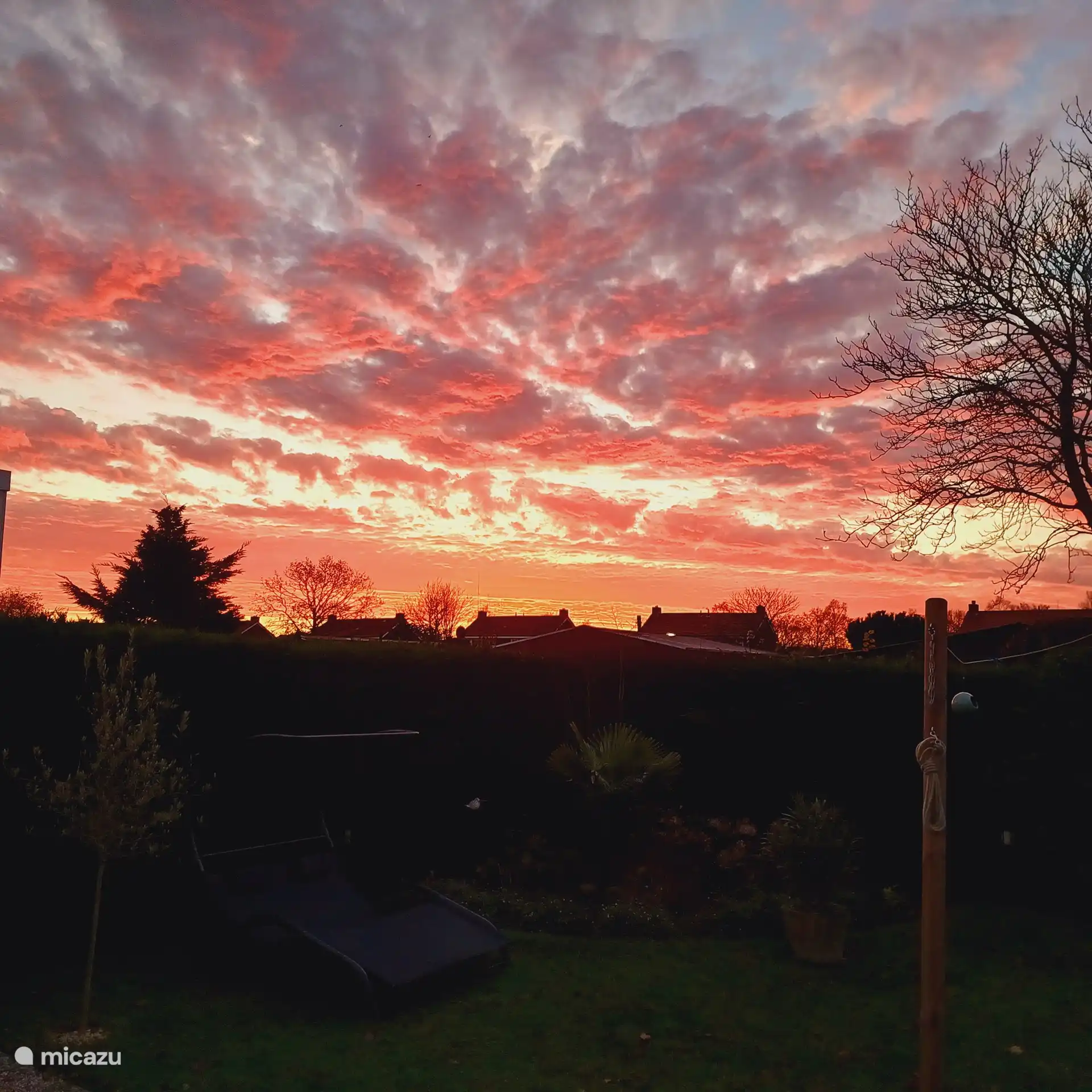 Mañana de invierno desde la sala de estar LumpSun