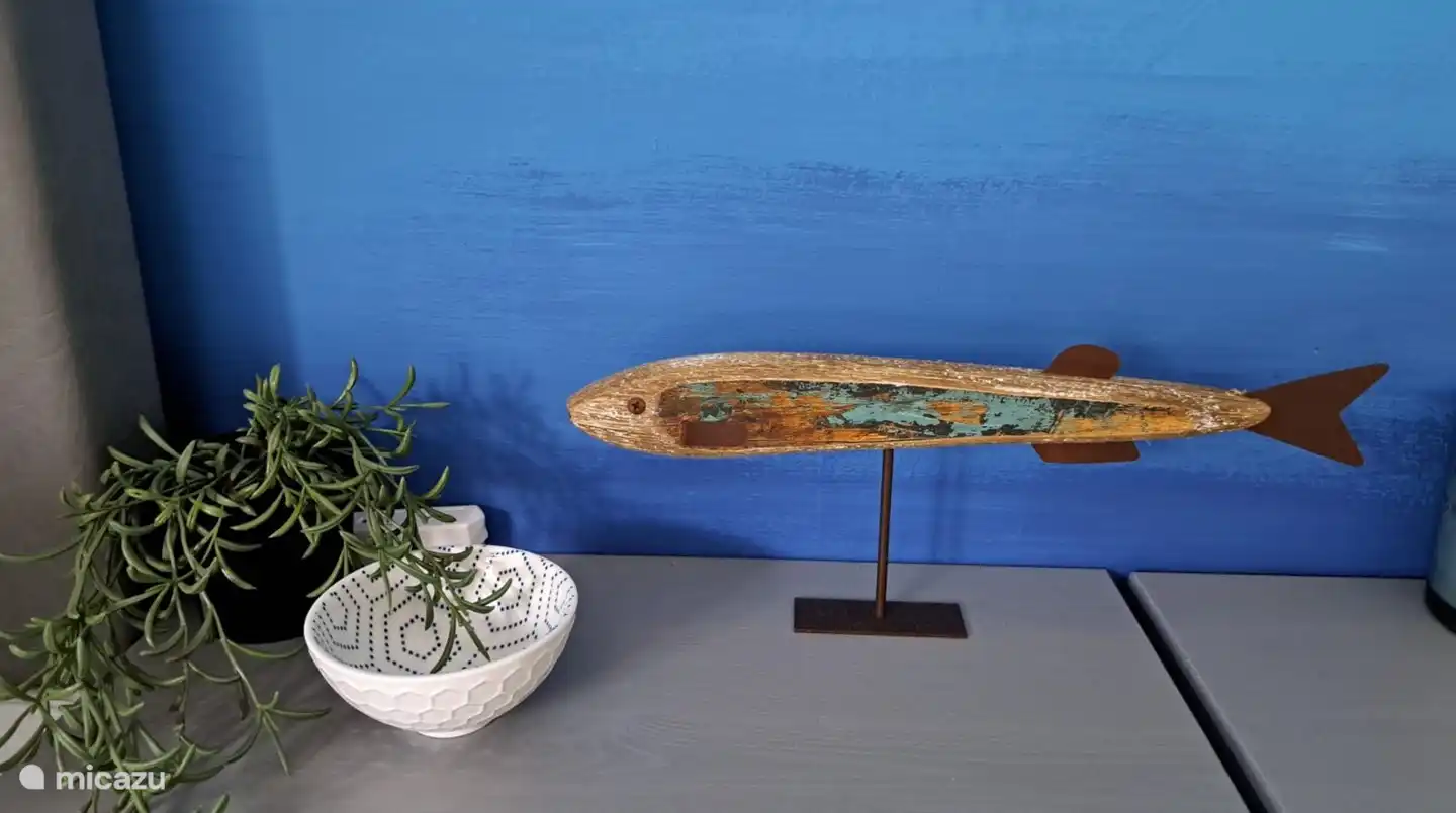 Oceanroom close up fish.