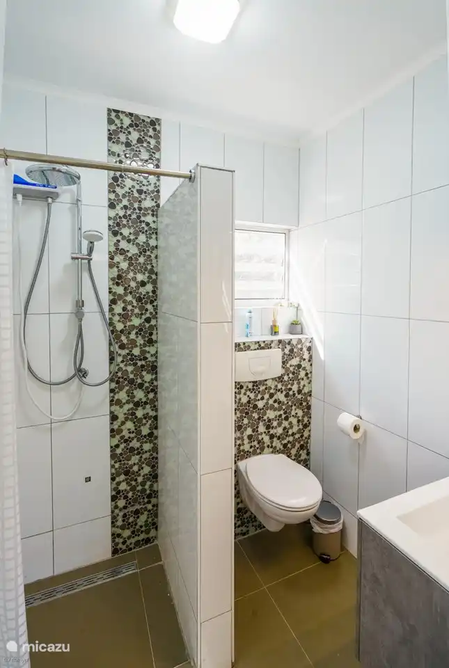 View of shower and toilet.