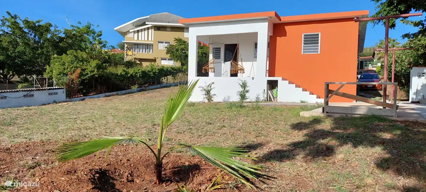 Young plants still growing.