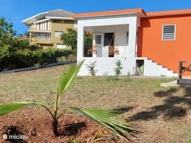 apartamento en Curazao, Banda Arriba (este), Cas Grandi – Apartamento de vacaciones Coral Cactus Las plantas jóvenes siguen creciendo.