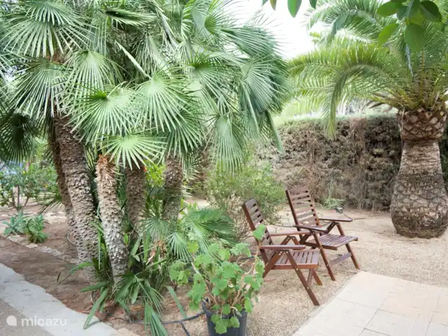 Los Pinos 6 huren in Spanje, Costa Blanca, Altea - villa