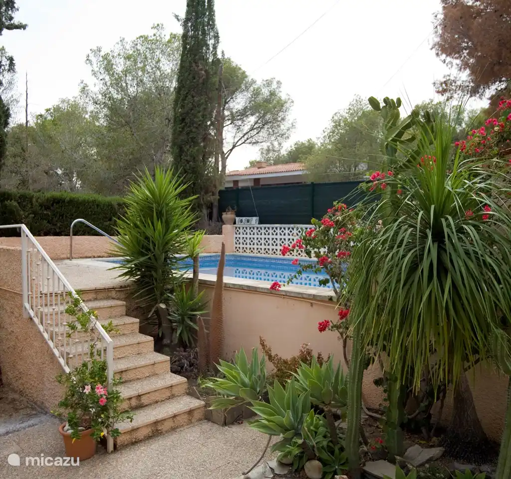 Los Pinos 6, foto 4
