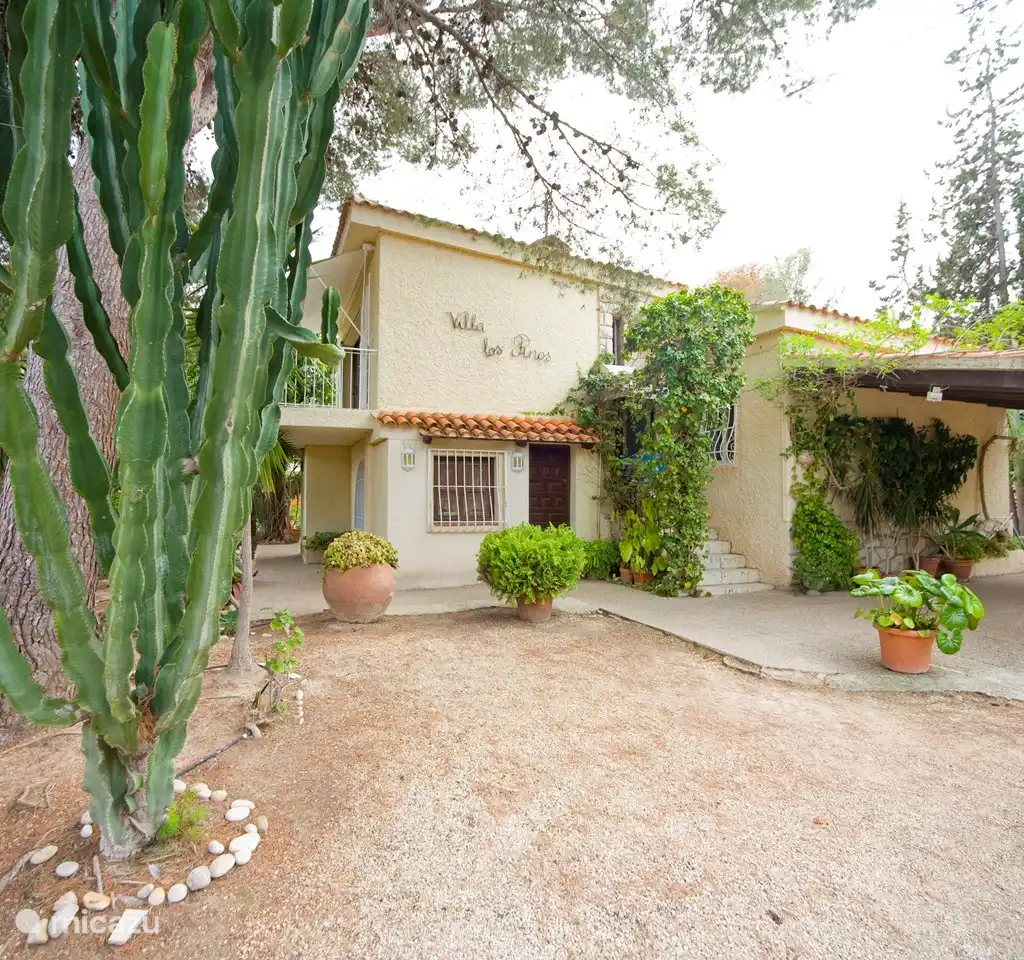 Los Pinos 6, foto 5