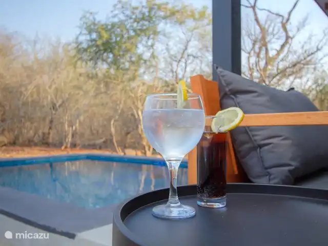 Location de Vacances Afrique du Sud, Mpumalanga, Marloth Park, maison de vacances - La course du guépard piscine chauffée