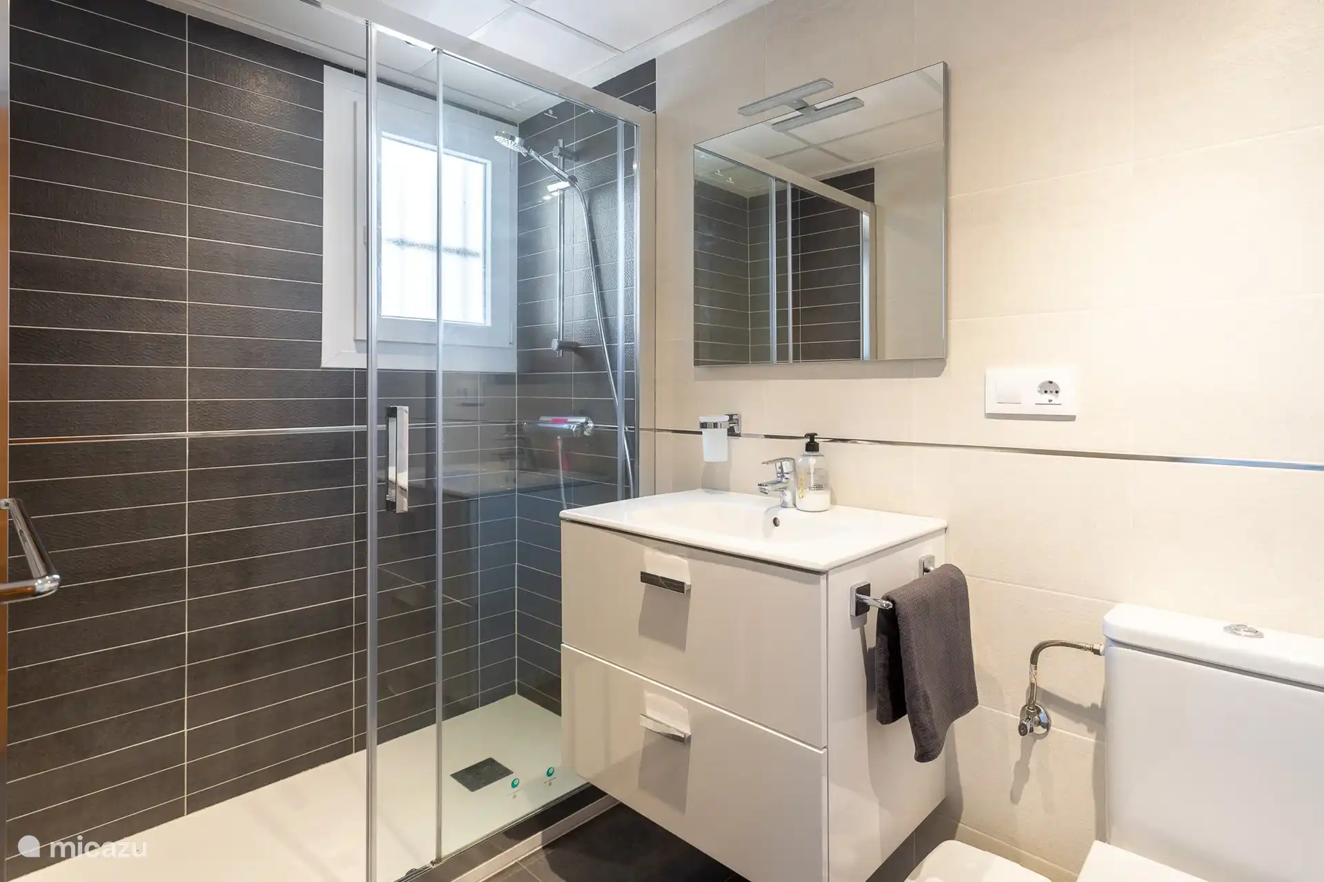 Bathroom with walk-in shower and toilet