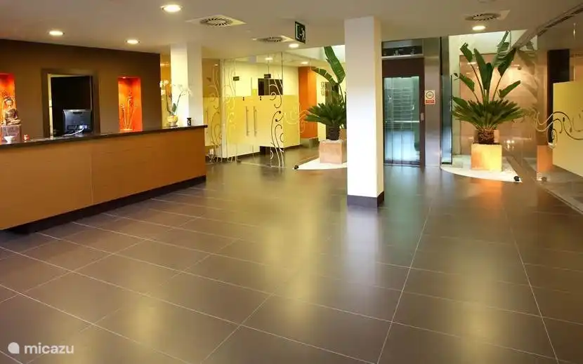 Reception and reception