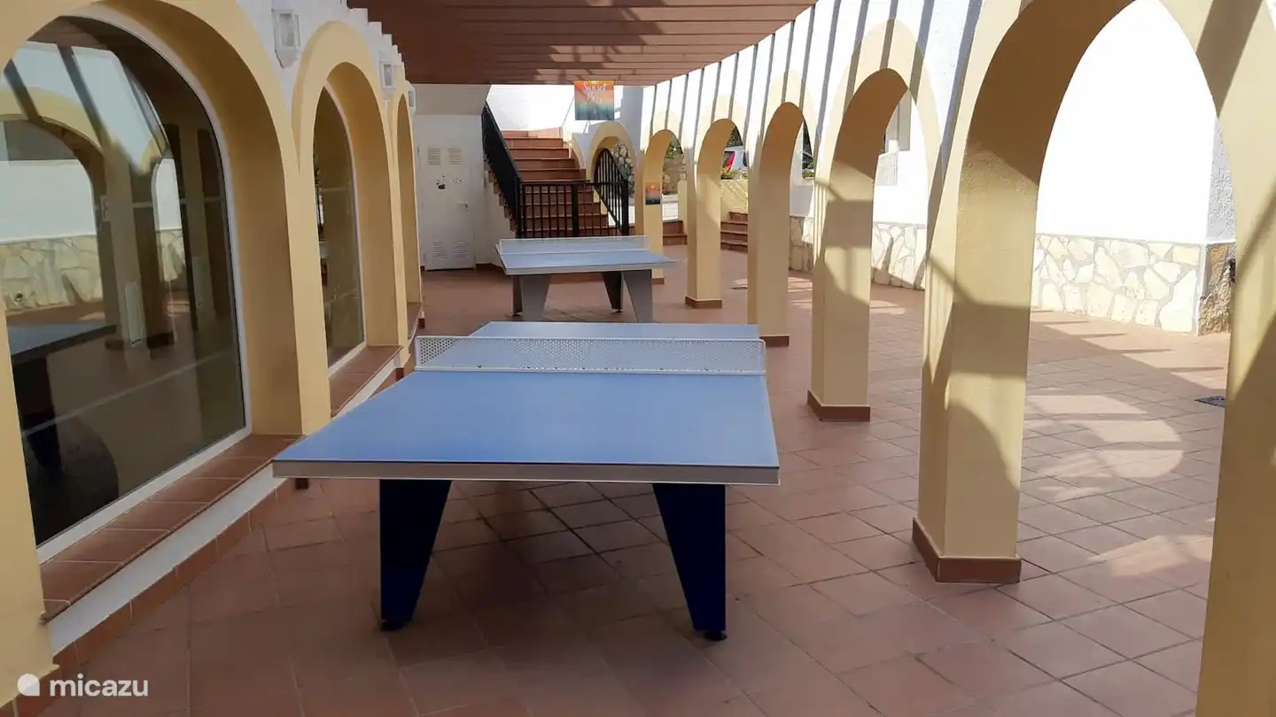 Table tennis and billiards