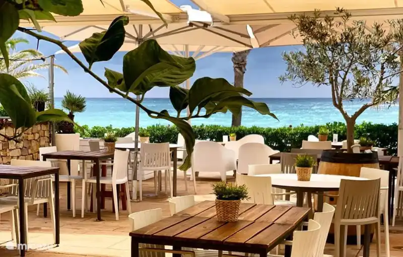 Hermosas terrazas en la costa