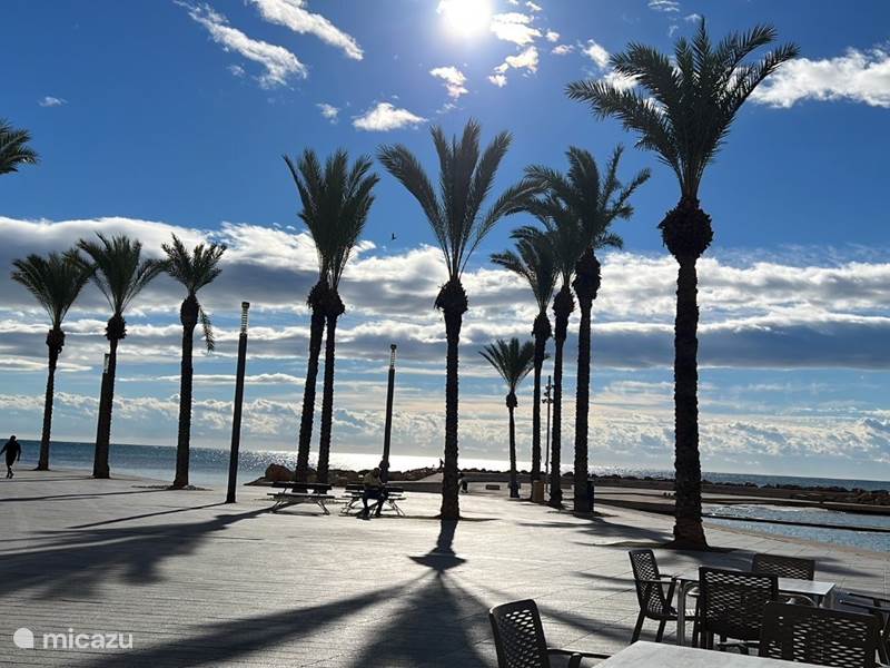Holiday home in Spain, Costa Blanca, Torrevieja Apartment Casa Torrevieja