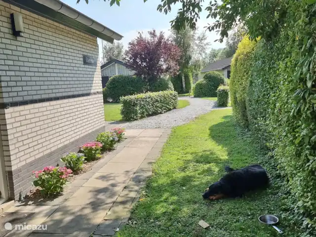 Location de Vacances Pays-Bas, Frise, Gaastmeer, bungalow - Friesland maison de vacances Rietmeer sur le chemin latéral à l'abri de jardin fermant à clé, pour les vélos.