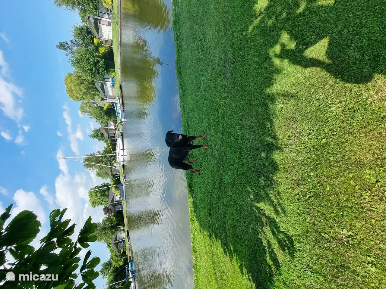 Ihr Haustier ist willkommen! Neben festen Liegeplätzen mit Vermietung Ihrer eigenen Boote bietet der Park auch Liegeplätze zur Miete, wenn Sie mit Ihrer eigenen Schaluppe kommen möchten
