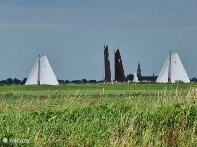 Location de Vacances Pays-Bas, Frise, Gaastmeer, bungalow - Friesland maison de vacances Rietmeer Il y a des sports nautiques partout où vous regardez, la Frise est une région riche en eau, vous pouvez nager à distance de marche.