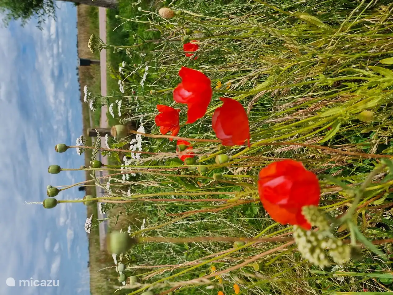 Ruhiges Wandern oder Radfahren vom Ferienhaus aus
