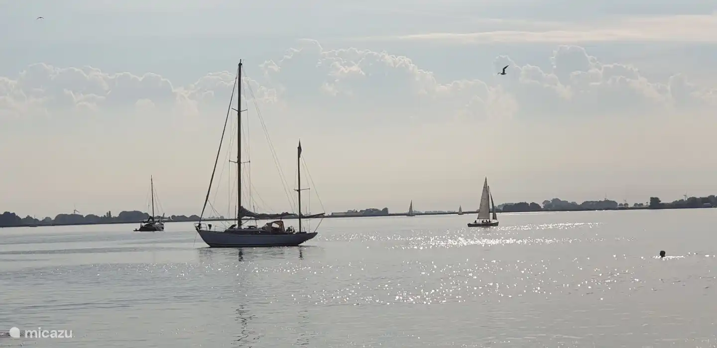 zu Fuß erreichbar können Sie in den friesischen Seen schwimmen