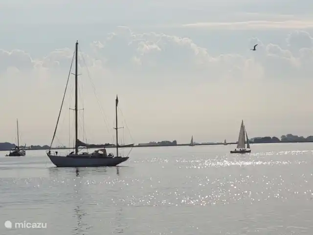 Location de Vacances Pays-Bas, Frise, Gaastmeer, bungalow - Friesland maison de vacances Rietmeer à distance de marche, vous pouvez nager dans les lacs frisons