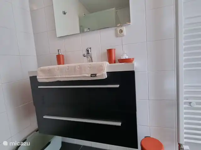 Location de Vacances Pays-Bas, Frise, Gaastmeer, bungalow - Friesland maison de vacances Rietmeer lavabo spacieux moderne. Tout est sur un seul niveau. Douche à l'italienne avec robinet thermostatique, carrelage au sol,