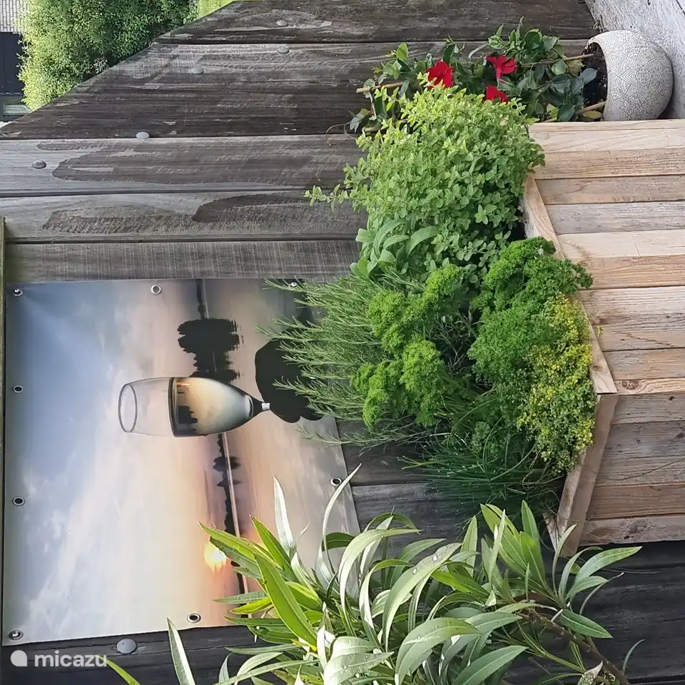 Frische Petersilie, Schnittlauch, Oregano, Thymian, Rosmarin, köstlich für alle, die gerne frisches Essen kochen