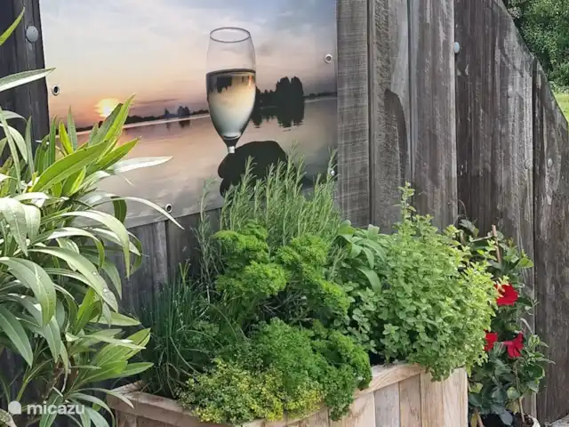 Location de Vacances Pays-Bas, Frise, Gaastmeer, bungalow - Friesland maison de vacances Rietmeer Persil frais, ciboulette, origan, thym, romarin, délicieux pour ceux qui aiment cuisiner des aliments frais