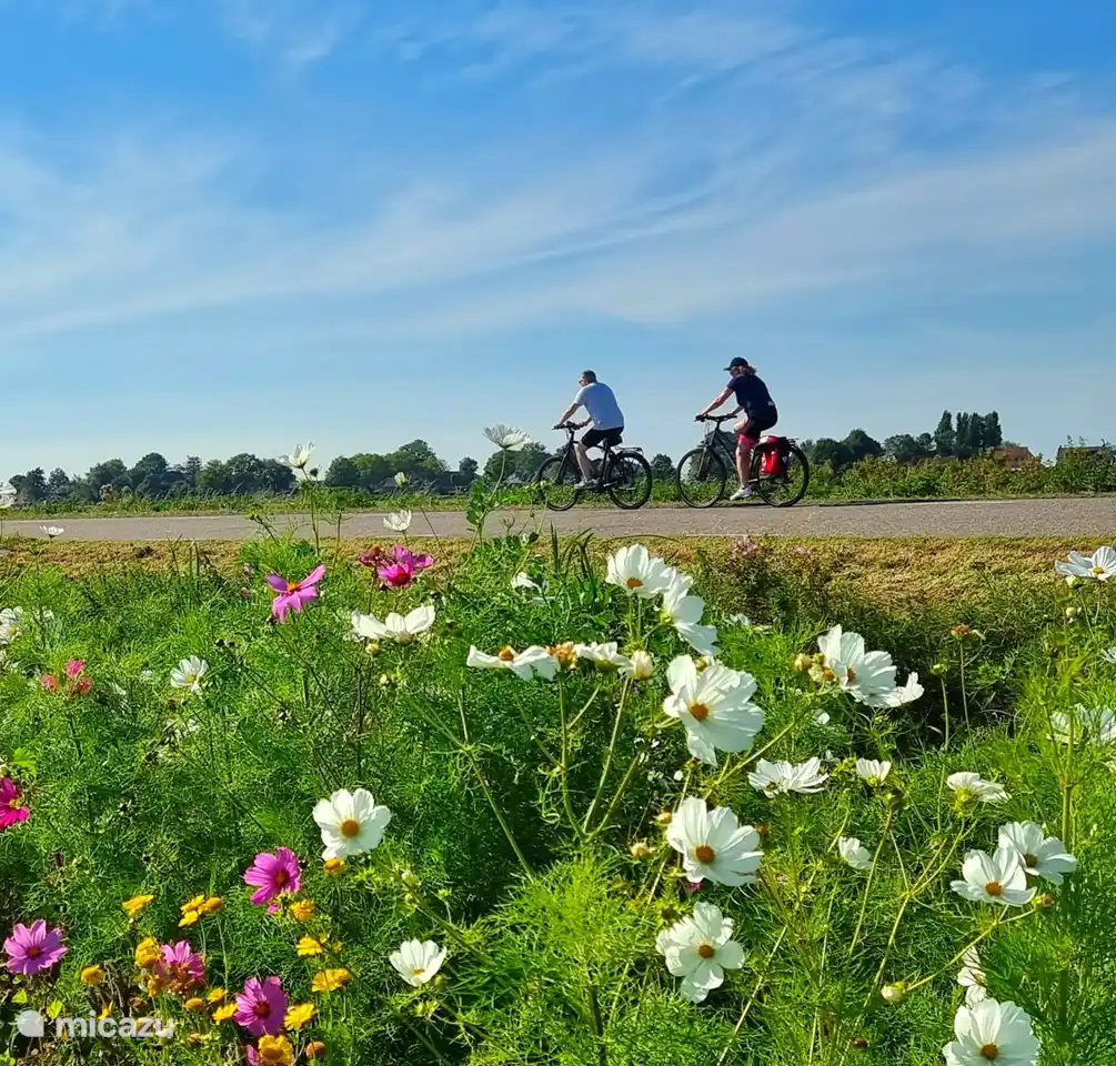Von Gaastmeer aus können Sie schöne Radtouren zum Beispiel nach Workum mit der Fähre, Hindeloopen, Heeg, Sneek, Oudega, Bolsward unternehmen