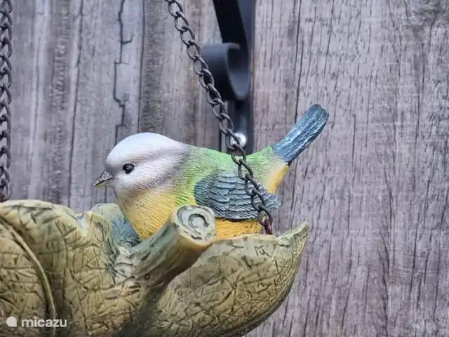 Location de Vacances Pays-Bas, Frise, Gaastmeer, bungalow - Friesland maison de vacances Rietmeer Propre jardin et terrasse avec de nombreux oiseaux de jardin