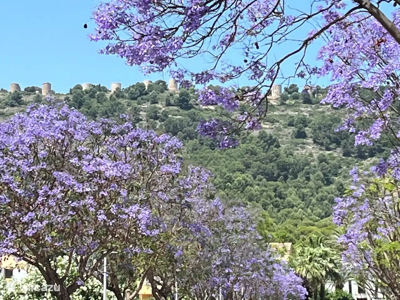 Du balcon, vous pouvez voir d'anciens moulins à vent sur l'éperon du Montgo