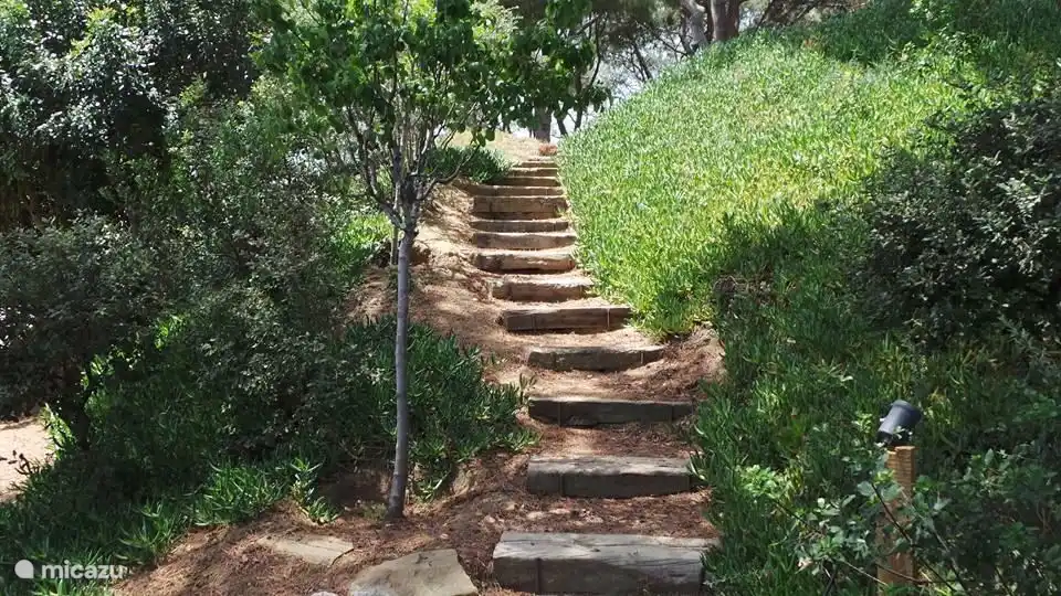 one of the many garden paths
