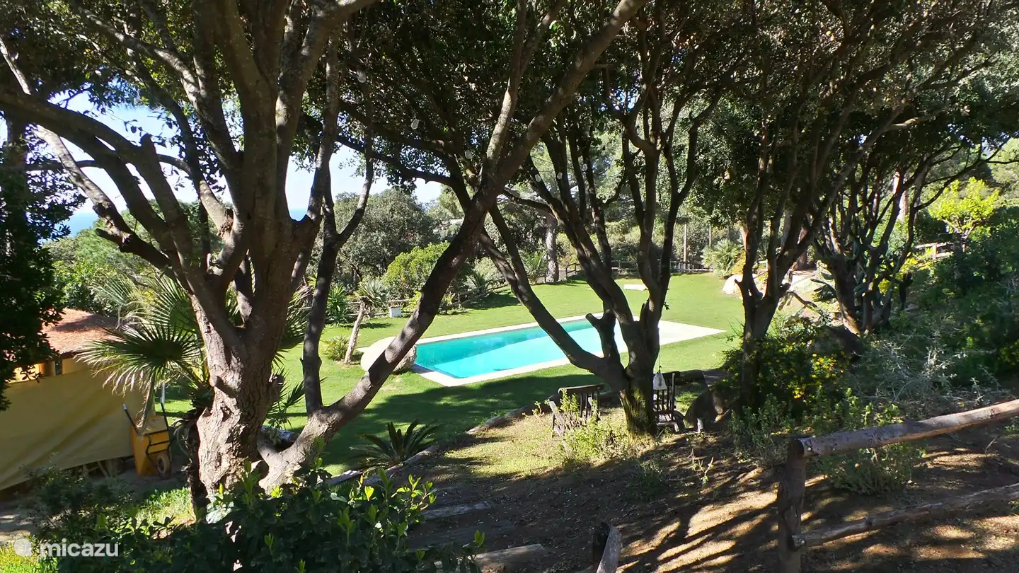 swimming pool with lots of greenery and privacy