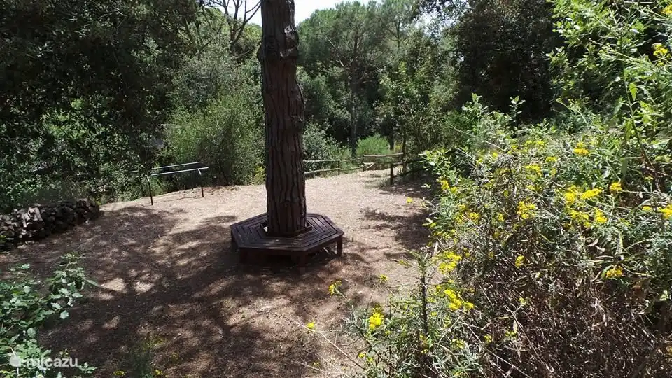 Trails for walking on the property