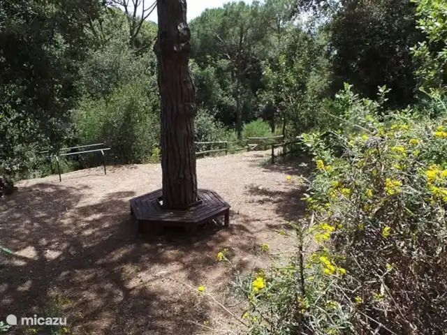 Gîte sur domaine Côte de Barcelone | Espagne, Barcelone, Sant Andreu de Llavaneres  - finca Sentiers pour se promener sur la propriété