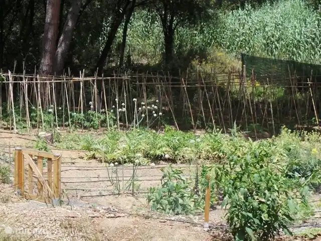 Gîte sur domaine Côte de Barcelone | Espagne, Barcelone, Sant Andreu de Llavaneres  - finca le potager
