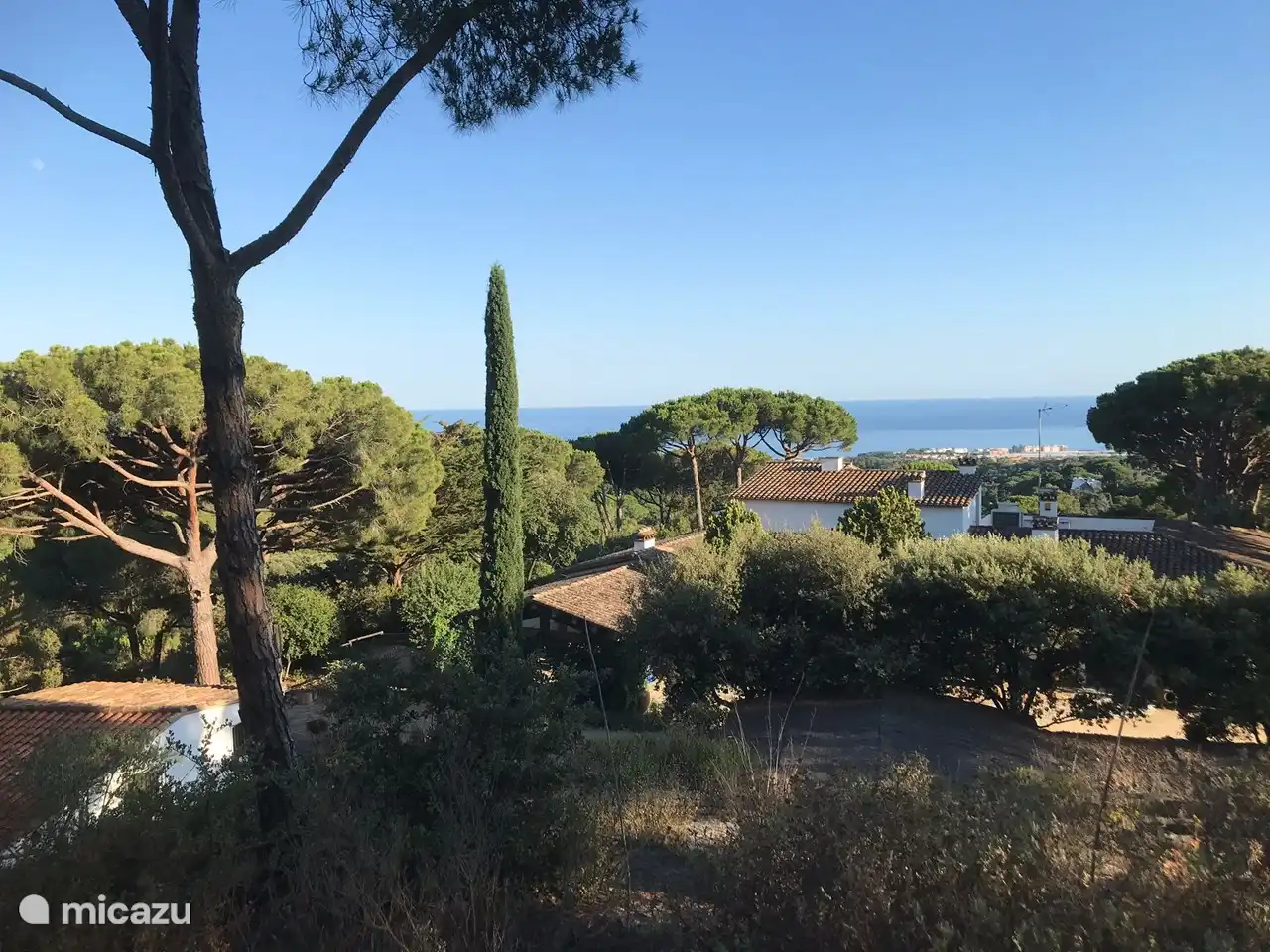 Left under the casita next to the main house