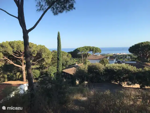 Gîte sur domaine Côte de Barcelone | Espagne, Barcelone, Sant Andreu de Llavaneres  - finca A gauche sous la casita à côté de la maison principale
