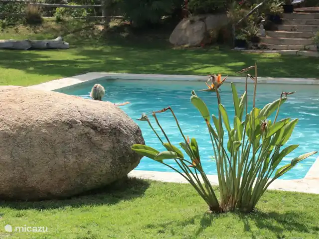 Gîte sur domaine Côte de Barcelone | Espagne, Barcelone, Sant Andreu de Llavaneres  - finca Piscine de 10x5 mètres