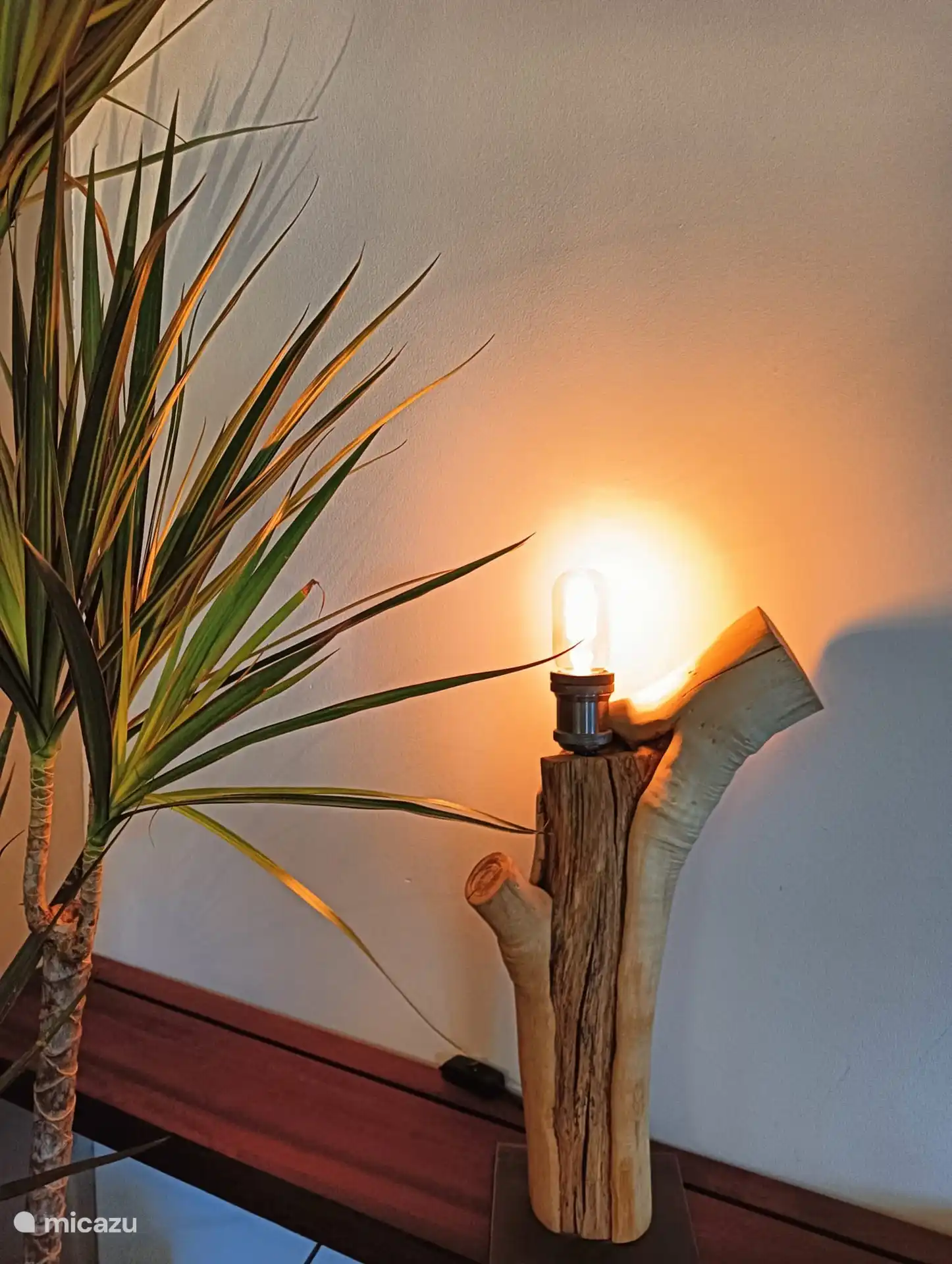 Passion for woodwork