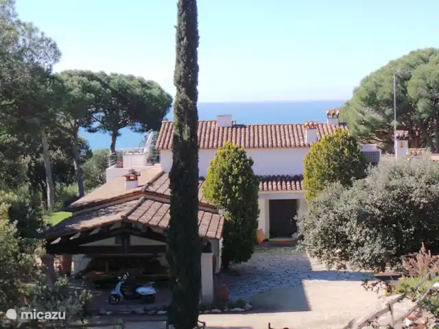 Gîte sur domaine Côte de Barcelone | Espagne, Barcelone, Sant Andreu de Llavaneres  - finca Gîte sur domaine Côte de Barcelone | Espagne, Barcelone, Sant Andreu de Llavaneres  - finca