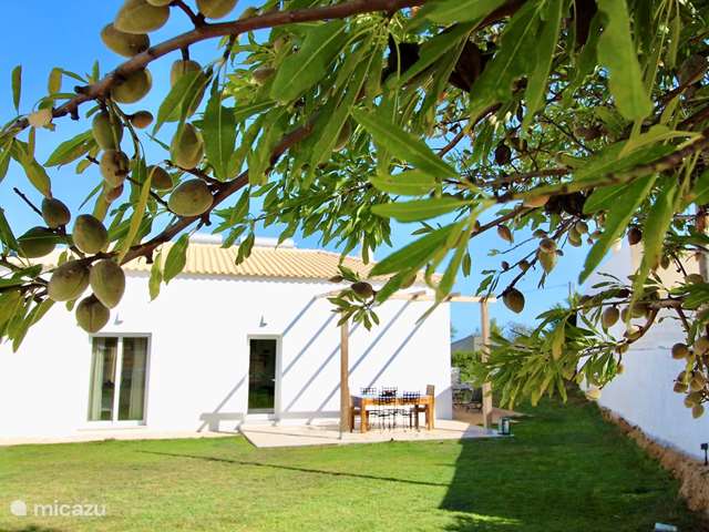 Ferienwohnung Portugal, Algarve, Moncarapacho - ferienhaus Casa Amendoeira