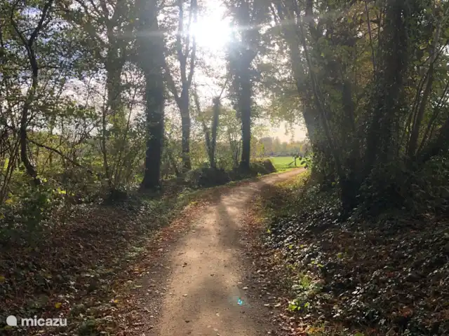 Location de Vacances Pays-Bas, Overijssel, De Lutte, maison de vacances - LansHuuske