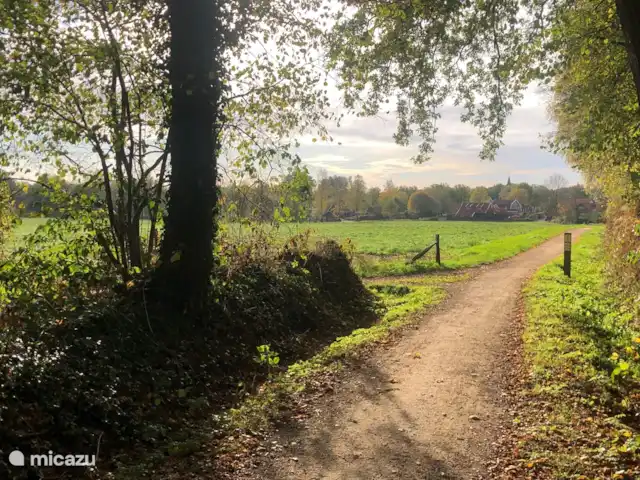 Location de Vacances Pays-Bas, Overijssel, De Lutte, maison de vacances - LansHuuske