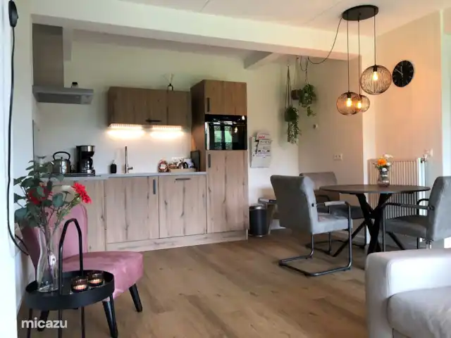 Location de Vacances Pays-Bas, Overijssel, De Lutte, maison de vacances - LansHuuske