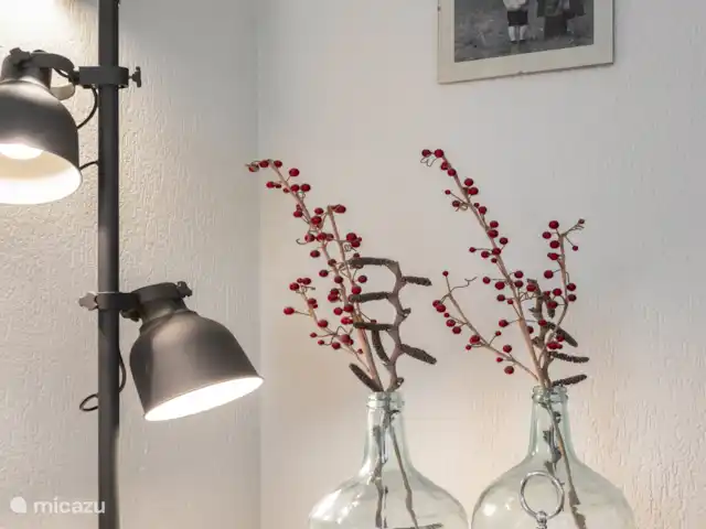 Hibou norvégien | Pays-Bas, Drenthe, Norg - maison de vacances