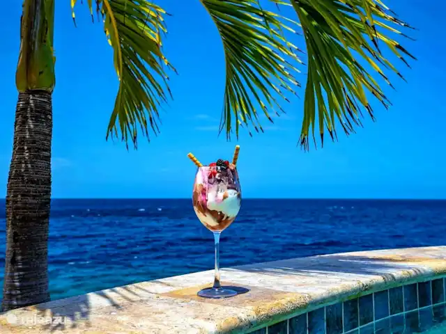 Villa Magic Time - Bord de mer | Curaçao, Banda Abou (ouest), Coral Estate, Rif St.Marie - villa Détendez-vous et profitez