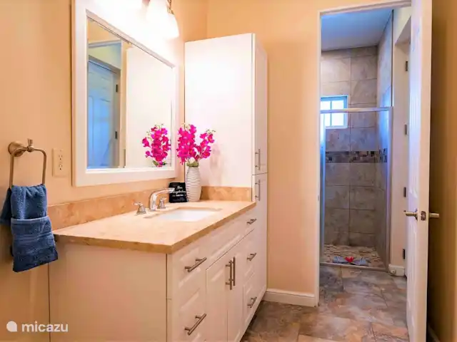 Villa Magic Time - Bord de mer | Curaçao, Banda Abou (ouest), Coral Estate, Rif St.Marie - villa Salle de Bains