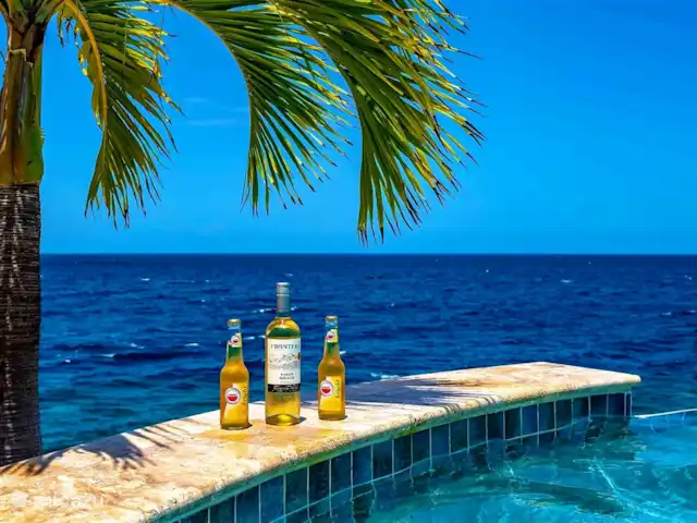 Villa Magic Time - Bord de mer | Curaçao, Banda Abou (ouest), Coral Estate, Rif St.Marie - villa