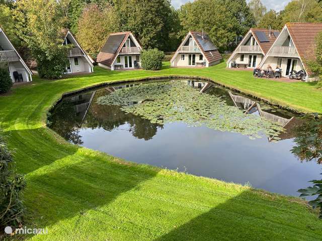 Holiday home in Netherlands, Overijssel – holiday house Pond View 221 with Whirlpool