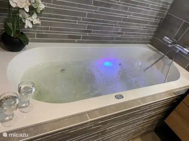 Vijverzicht 221 met Whirlpool huren in Nederland, Overijssel, Gramsbergen - vakantiehuis Bubbelbad/ Whirlpool